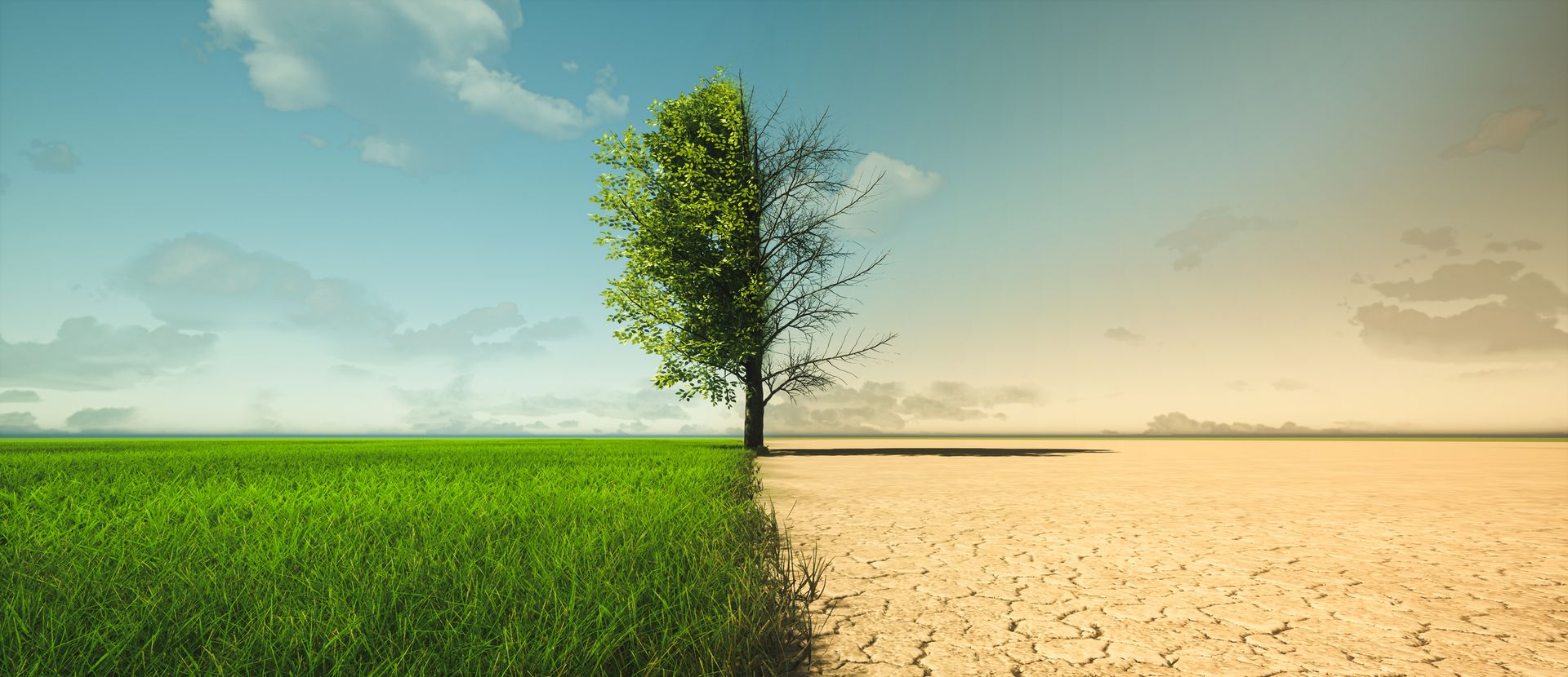 rentabilité panneaux solaires et climat